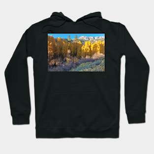 Inyo Forest in Autumn Hoodie